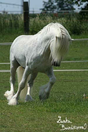 staj_ufonek27261.jpg