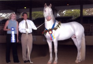 Obrazek